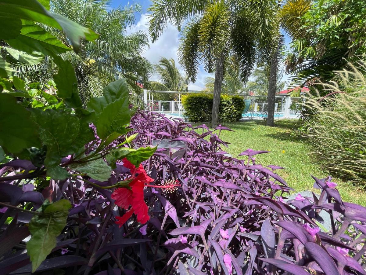 Hotel & Villa Le Cocotel サン・フランソワ エクステリア 写真